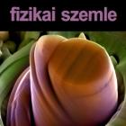 Fizikai Szemle